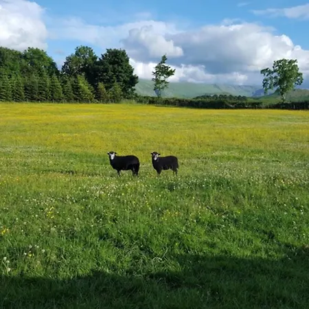 1 Bed In Ullswater 94064 Vakantiehuis