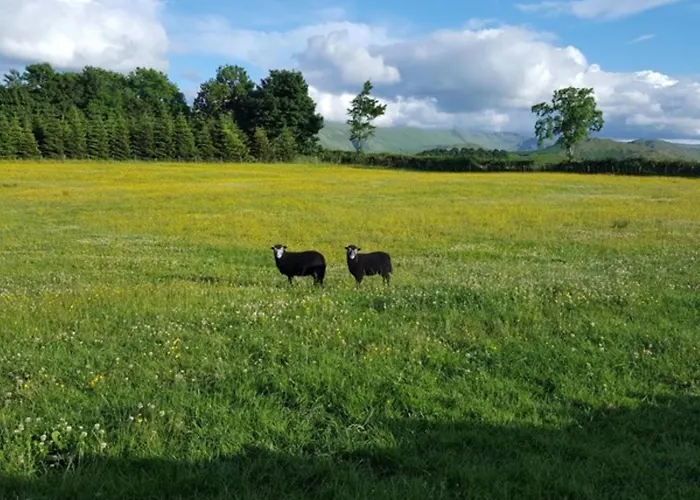 1 Bed In Ullswater 94064 Nyaraló